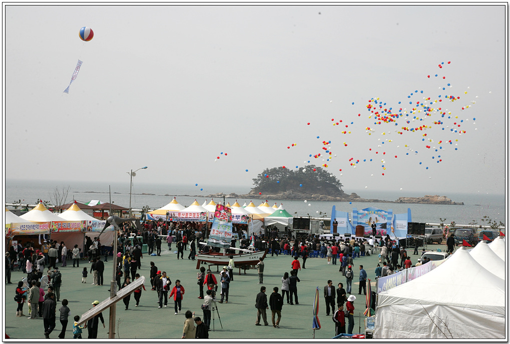 2009년 열린 동백꽃 주꾸미축제장 모습