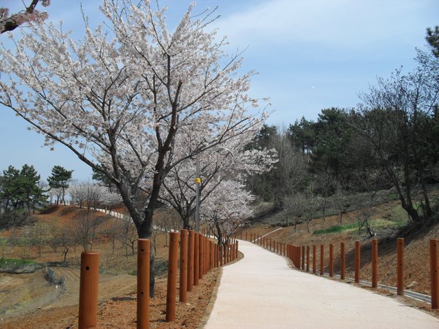 이달초 일반에 공개된 솔바람 마을 산악 자전거 코스