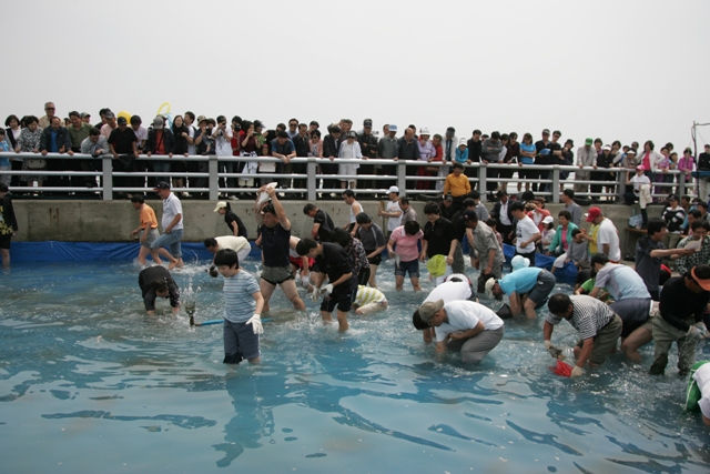 제7회 자연산 광어 도미 축제