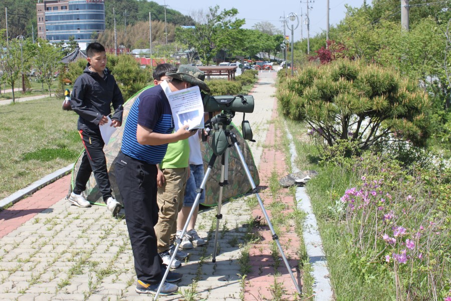 철새도 알고 영어도 배우고